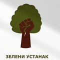 Zeleni ustanak: Glavni razlog za nestajanje Leskovca je partokratija
