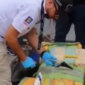 Zarobljena podmornica sa drogom Pronađeno 800 kilograma kokaina (video)