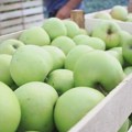 Srpska jabuka najviše se izvozi na Bliski istok, očekuje se otvaranje kineskog tržišta