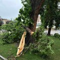Na više lokacija nevreme polomilo staro ukrasko drveće u Leskovcu