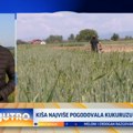 Kiša obradovala poljoprivrednike u Leskovcu VIDEO