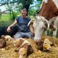Kasarske livade: Osmočlano domaćinsvo Đokića bogatije za Biserkina tri teleta