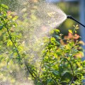 Šta koči širu primenu biopesticida u Srbiji