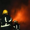 Veliki požar u Zemunu, vatrogasci na terenu