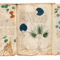 Neviđena tajna Vojničevog rukopisa: Dešifrovan tekst koji otkriva misteriju staru 600 godina