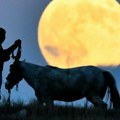 U fotografijama: Mesec dabra obasjao svet