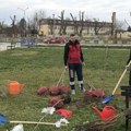 Meštani Šimanovaca i zaposleni u vrtiću zasukali rukave! Zasađena 34 stabla u dvorištu zabavišta, evo koja porodica je dala…