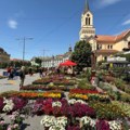 Više od 50 izlagača na „Cvetnoj pijaci“ kod Vodotornja od 7. do 9. maja