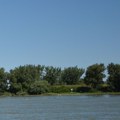 Zbog jakog vetra na Dunavu ne saobraća rumunska skela za Golubac