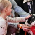 Pas Panda osvojio nagradu u kanu Bio je sjajan u porodičnoj drami
