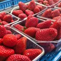 U jagodama iz Srbije pronađen opasan pesticid: Belgija izdala hitno upozorenje