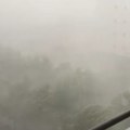 Žena poginula u stravičnom nevremenu: Vetar obarao stabla - užas u Rumuniji (foto/video)