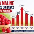 Od 1,7 do 5 evra: Kako je od 2020. do danas skakala cena srpskog „crvenog zlata”