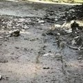 Mislili da je medved, a dočekao ih neočekivan prizor: Beograđani na Tari ostali u šoku kada su otvorili vrata!