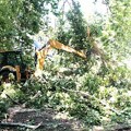 Nakon nevremena uklonjeno polomljeno drveće i granje na 173 lokacije