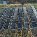 Bobičasto voće ispod solarnih panela: U Valjevskoj Kamenici postavljena prva agrosolarna elektrana u Srbiji (FOTO)