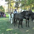 Udruženje „Pastuvˮ organizovalo humanitarnu akciju za lečenje Andreje Milekića