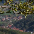 Restitucija u završnoj fazi: Još 5.100 predmeta, ukupan iznos dve milijarde evra