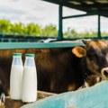 Kako Srbija može da stvori stabilno tržište mleka