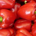 Biće ajvara! Na srpske pijace stigla paprika s vojvođanskih polja, kilogram jeftiniji nego lane, a evo koliko košta litra…