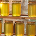 Zadovoljavajuća godina za pčelare Južnog Banata - požar u Peščari i pesticidi prete budućnosti