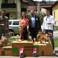 Izlagači iz Srbije i regiona na XVI Specijalizovanoj izložbi pasa goniča u Ivanjici (VIDEO)