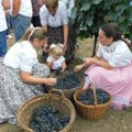 Tri dana slave u mestu Aradac: Tradicionalna manifestacija od 28. jula