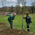 Obavezna sadnja drveća: Mere za poboljšanje kvaliteta vazduha i životne sredine u Vrnjačkoj Banji