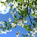 Horoskop za 12. mart: Rak prećutkuje nešto voljenoj osobi, Jarac ambiciozan, dok ova dva znaka ulaze u sukob