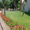Farbanje, zamena štafni i reparacija mobilijara