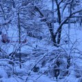 Beograd pod snegom! Nestvarne slike, ali i opasne saobraćajnice: Ovako od jutros izgleda prestonica