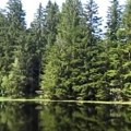 (Foto) Nećete verovati da ovo postoji u Srbiji: Bajkovito mesto stvoreno za fotografisanje, legenda kaže da su ovde živele vile…
