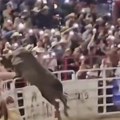 Rodeo bik uleteo u publiku: Preskočio ogradu visoku 2 metra, napao nesrećnu ženu, a iziritiralo ga nešto što je nosila…