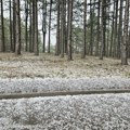 "Zabelelo se kao u zimu": Snažno nevreme pogodilo Zlatibor, padao grad veličine klikera