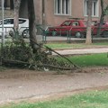 Pronašao torbicu punu para i dokumenata i odmah odneo u policiju, a tamo vlasnica!