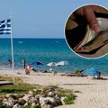 Srbi kupili parcelu u Grčkoj, pa kažnjeni sa 95.000 evra: Ovo nisu mogli ni da sanjaju, sačekao ih pakao