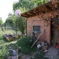 Pevačica živi u udžerici bez struje vode, wc sa 14 pasa i 11 mačaka! Unutra đubre, flaše,kese i iscepane stvari, napolju…