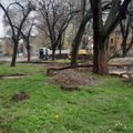 Raketa park od 152 miliona dinara. Po toj ceni, ni lansiranje u svemir više nije san