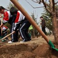 Kina posadila toliko drveća da je promenila vodeni ciklus u čitavoj zemlji, neočekivane posledice „ozelenjavanja“