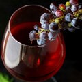DNK iz semenki grožđa starih 2.000 godina otkrio korene savremene proizvodnje vina