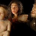 Neandertalci zaraženi tuberkulozom: Da li je ova bolest izazvala njihov nestanak pre 35.000 godina?