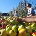 Sutra stupa na snagu Sporazum o slobodnoj trgovini Srbije sa Kinom – bez carina sveža jabuka, borovnica, suva šljiva…