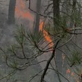 Grmljavine izazvale požar u Dalmaciji! Vatra se razbuktala i približila kućama...