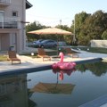 Vila mu vredi: 200.000 evra Bivši rijaliti učesnik napravio kuću na Kosmaju sa bazenom: Sad ubacio nov nameštaj, a evo i šta…