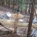 Lovac pronašao misterioznu letelicu u šumi, hitno se oglasio Evropol! Policija i vojska na nogama, na njoj montiran uređaj…