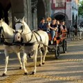 Суботица дочекала шампионе на Тргу слободе