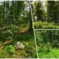 Koliko košta plac na Mokroj Gori? Evo koliko je udaljen od Drvengrada i šta se na njemu može izgraditi