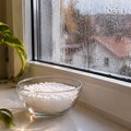 Ljudi masovno stavljaju činiju pored prozora pre spavanja: Imaju dobar razlog - provereno radi