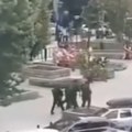 Čuju se rafali, narod je u strahu Situacija u Kosovskoj Mitrovici je napeta, sirene se još oglašavaju (video)