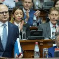 Vučević: Uložiću sve svoje snage u očuvanje nezavisnosti Srbije